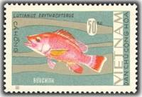 (1967-025) Марка Вьетнам "Красноперый луциан"   Рыбы III Θ